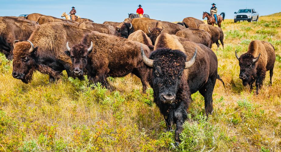 Photo by Travel South Dakota 11 Photo by Travel South Dakota 11